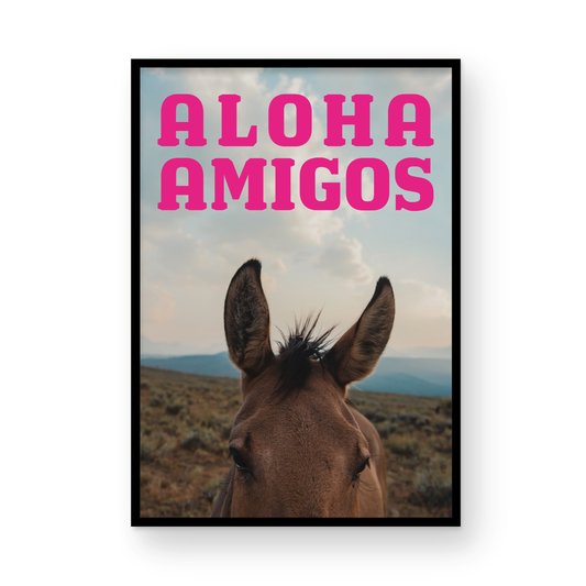 Aloha Amigos